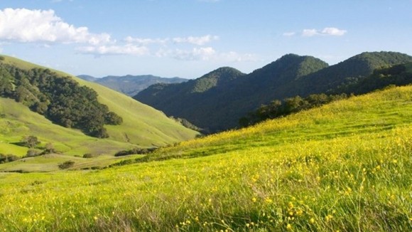 Miramonte Ranch – San Luis Obispo, California